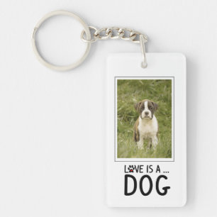 Articles personnalisés de chien pour des