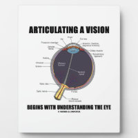 Articulating A Vision Begins Understanding The Eye