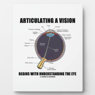 Articulating A Vision Begins Understanding The Eye Plaque