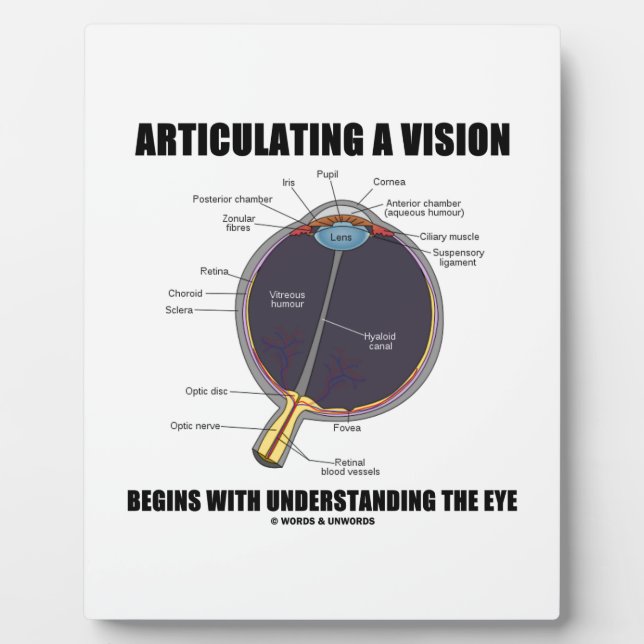 Articulating A Vision Begins Understanding The Eye Plaque (Front)