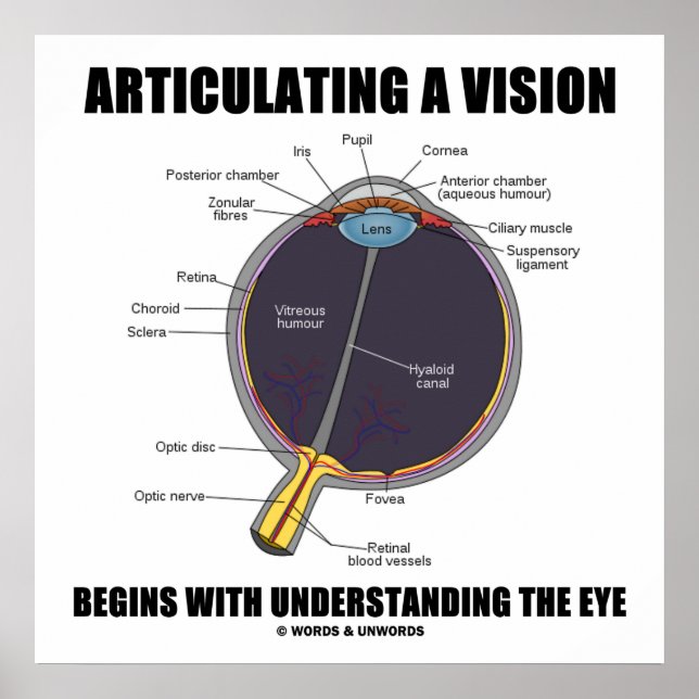Articulating A Vision Begins Understanding The Eye Poster (Front)
