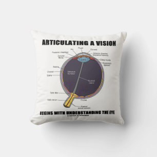 Articulating A Vision Begins Understanding The Eye Throw Pillow