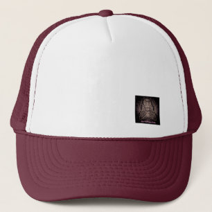 artifacts - fly on the wall of enlightenment hat