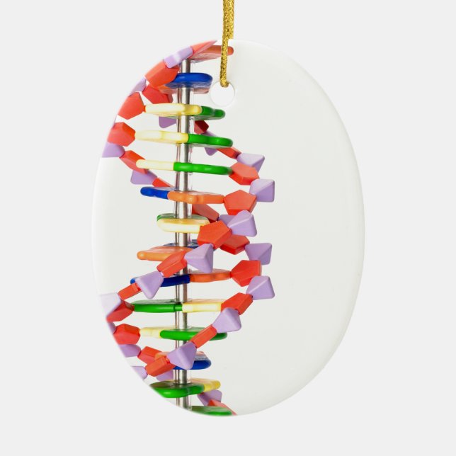 Artificial DNA model Ceramic Ornament (Front)
