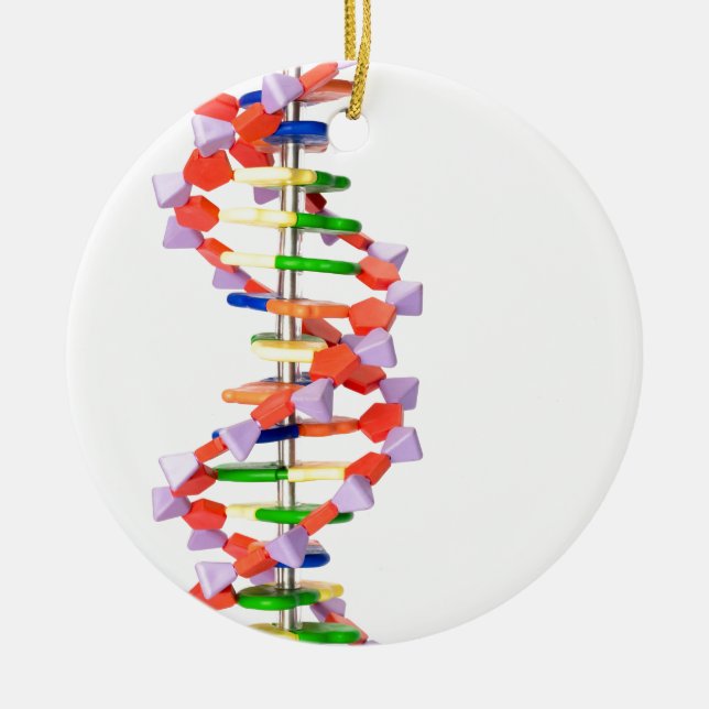 Artificial DNA model Ceramic Ornament (Front)