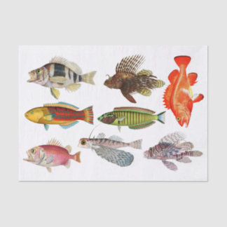 Artist Impressions Ocean Sea Life Fish Species Tissue Paper
