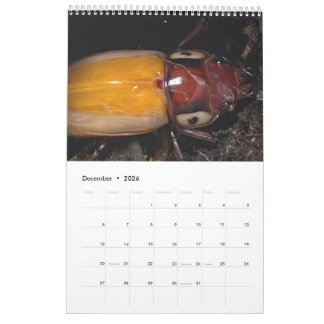 Artist photo calendar
