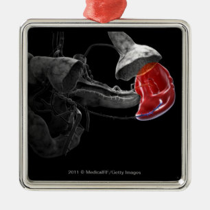 Artistic 3d rendering of the spleen metal ornament