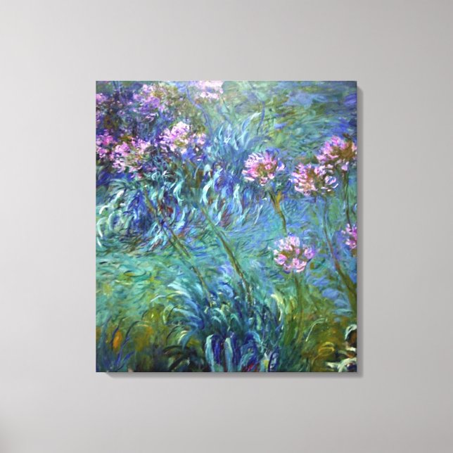 Artistic Agapanthus Fine Art Flowers Canvas Print (Front)