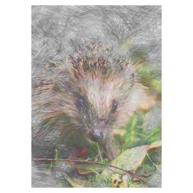 artistic animal hedgehog tablecloth (Front)