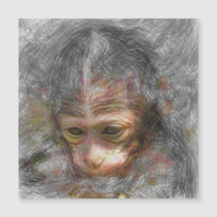 artistic animal monkey baby