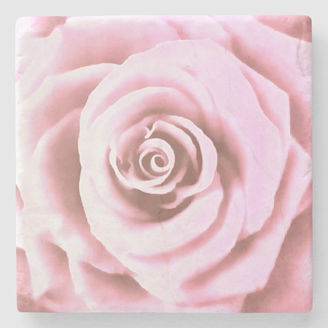 Artistic Big Pale Pink Rose Stone Coaster (Front)