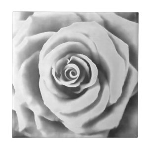 Artistic Big White Rose Tile
