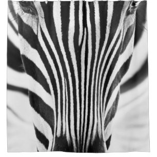 Artistic black and white closeup portrait of a zeb