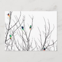 Artistic Bright Birds on Tree Branches