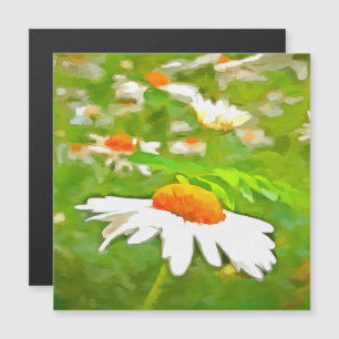 Artistic Bright Colourful White Garden Daisies v5