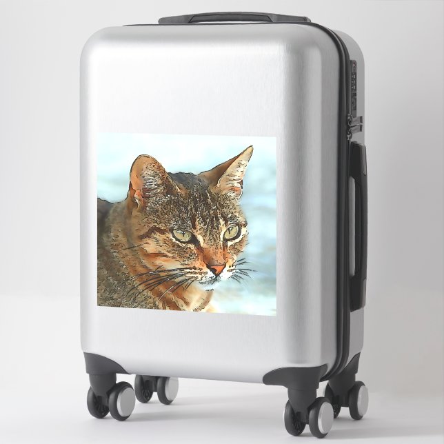 Artistic Cartoon Style Tabby Cat RB (Suitcase)