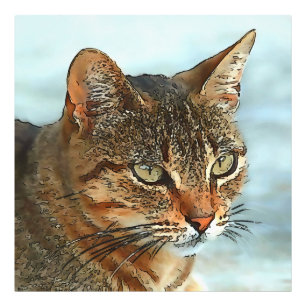 Artistic Cartoon Style Tabby Cat RB Photo Print