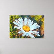 Artistic Close Up of a Marguerite Daisy Flower 