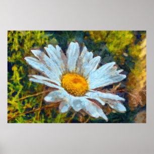 Artistic Close Up of a Marguerite Daisy Flower Poster