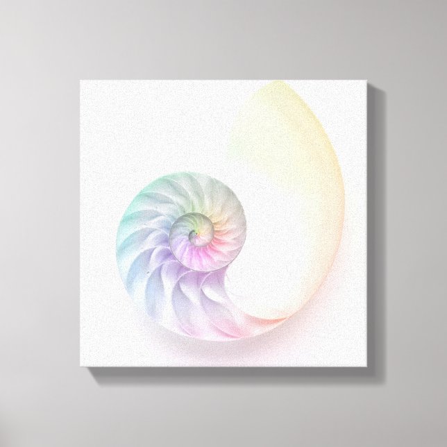 Artistic coloured nautilus image canvas print (Front)