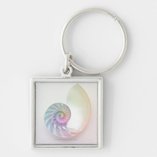 Artistic coloured nautilus image keychain (Front)