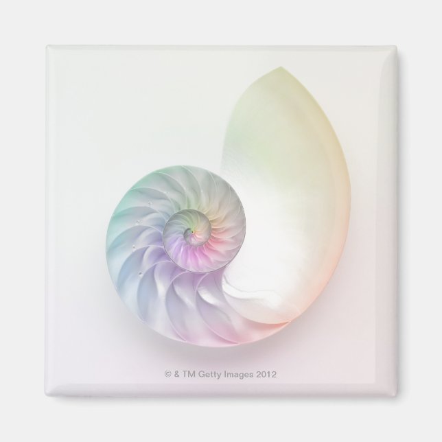 Artistic coloured nautilus image magnet (Front)