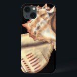 Artistic Conch Shells iPhone 13 Case<br><div class="desc">Jennifer Goldberger has an amazing collection of art capturing the gems of the ocean. In this beautiful,  classic neutral colour painting,  these two Conch seashells are the main object of the image. Get this nautical styled art on your favourite products today!</div>