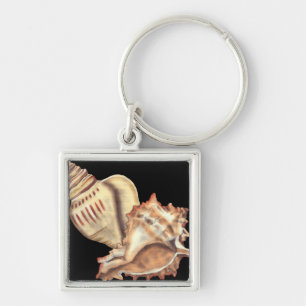 Artistic Conch Shells Keychain