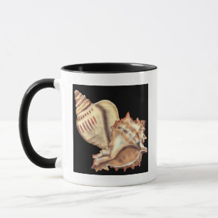 Artistic Conch Shells Mug