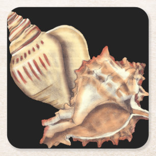 Artistic Conch Shells Square Paper Coaster