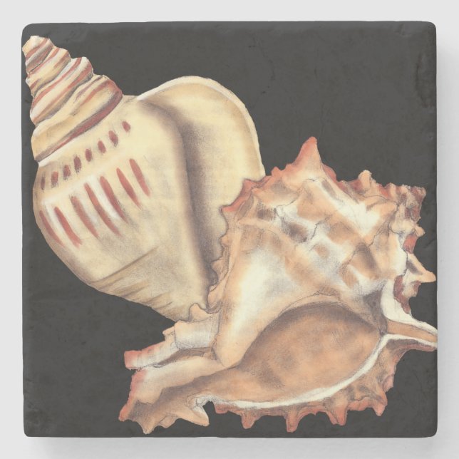 Artistic Conch Shells Stone Coaster (Front)