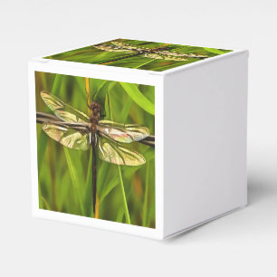 Artistic Dragonfly In Brown And Yellow On Green Favor Box