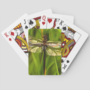 Artistic Dragonfly In Brown And Yellow On Green Playing Cards