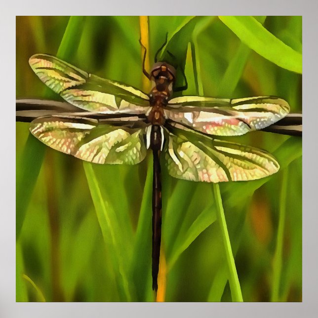 Artistic Dragonfly In Brown And Yellow On Green Poster (Front)