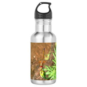 Artistic Dragonfly Resting On A Flower Head 532 Ml Water Bottle