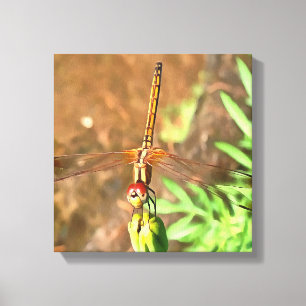 Artistic Dragonfly Resting On A Flower Head Canvas Print