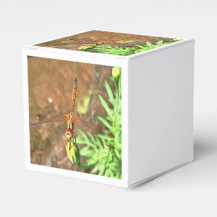 Artistic Dragonfly Resting On A Flower Head Favor Box