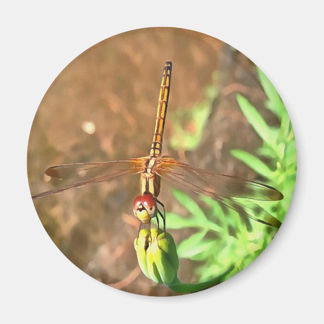 Artistic Dragonfly Resting On A Flower Head Magnet (Front)