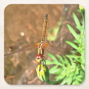 Artistic Dragonfly Resting On A Flower Head Square Paper Coaster
