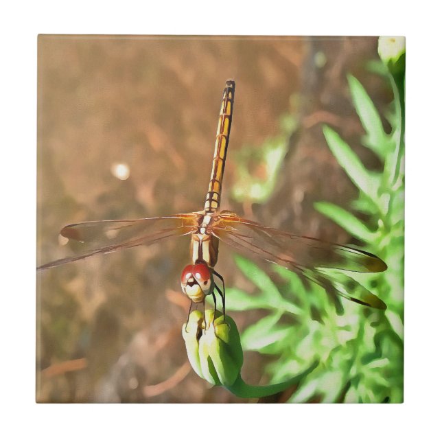 Artistic Dragonfly Resting On A Flower Head Tile (Front)
