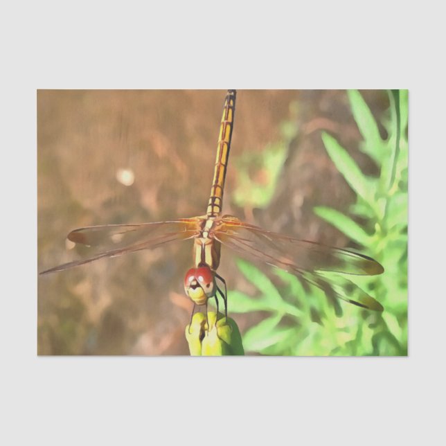 Artistic Dragonfly Resting On A Flower Head Tissue Paper (Front)