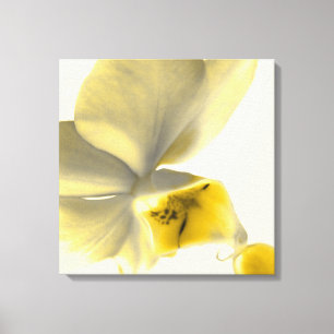 Artistic Flower in Yellow Tones Canvas Print