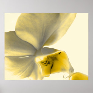Artistic Flower in Yellow Tones Poster