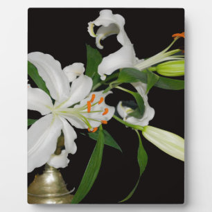 Artistic Lily Collection-1 Plaque