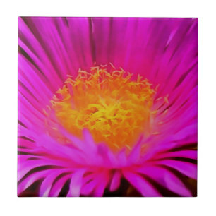 Artistic Magenta Pink Aster Flower Floral Art Tile