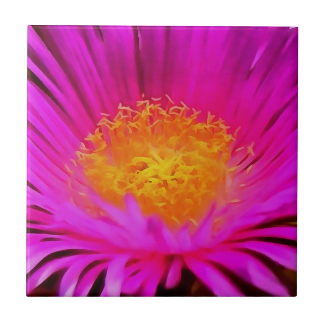 Artistic Magenta Pink Aster Flower Floral Art Tile (Front)