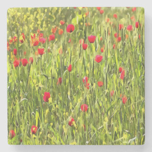 Artistic Meadow Poppy Landscape Stone Coaster