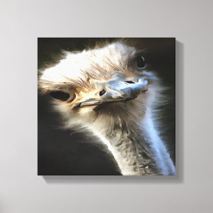 Artistic Ostrich Portrait With Goofy Expression Canvas Print