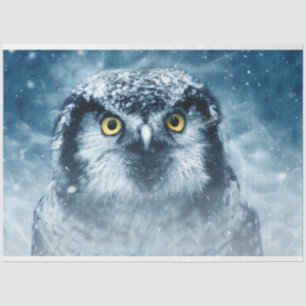Artistic Owl Watercolor Art 20x30  Decoupage Tissue Paper